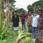 ঝিনাইদহে ঘুর্ণিঝড় আম্পানে ২ লাখ ২৭ হাজার চাষী ক্ষতিগ্রস্থ