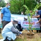 চুয়েটে মুজিববর্ষ উপলক্ষ্যে বৃক্ষরোপণ কর্মসূচি পালিত