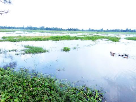 ছবি : সংবাদ সংক্রান্ত