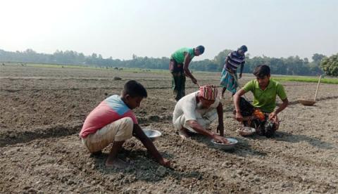 ছবি : সংবাদ সংক্রান্ত