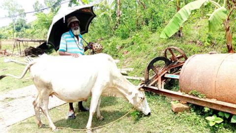 ছবি : সংবাদ সংক্রান্ত