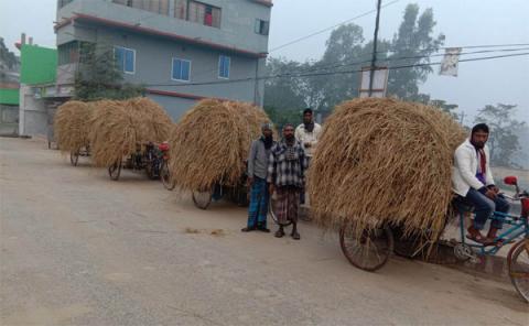 ছবি : সংবাদ সংক্রান্ত