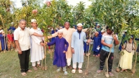 গাবতলীতে শিক্ষার্থীদের মাঝে গাছের চারা বিতরণ