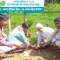 রাউজানের বৃক্ষরোপণ শুরু