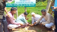 রাউজানের বৃক্ষরোপণ শুরু