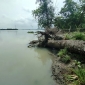 নদীতে বিলীন স্বামীর কবর, এখন নিজের কবরের জায়গা নিয়েই শঙ্কা