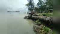 নদীতে বিলীন স্বামীর কবর, এখন নিজের কবরের জায়গা নিয়েই শঙ্কা