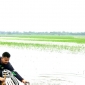 আত্রাইয়ে জেলেদের মাছ শিকারের মহোৎসব
