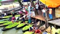 জমে উঠেছে ঝালকাঠির ভাসমান পেয়ারার হাট